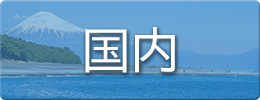 国内